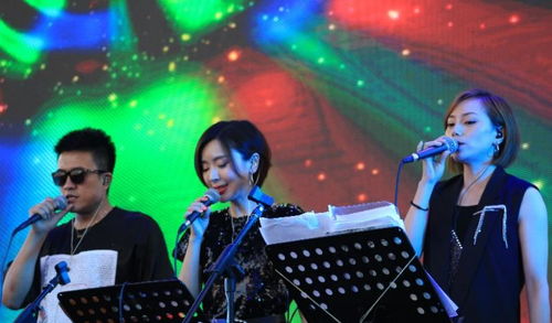 中演協經紀人委員會專業護航，沈陽法庫音樂節圓滿落幕